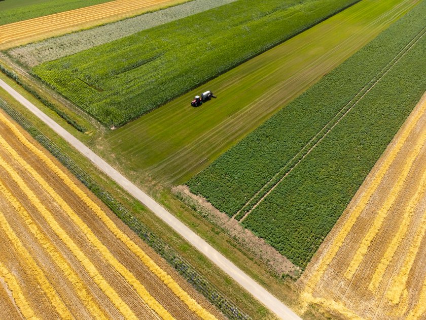 Strip cropping as seen from above. Picture: HAKO fotografie. Strip cropping as seen from above. Picture: HAKO fotografie.