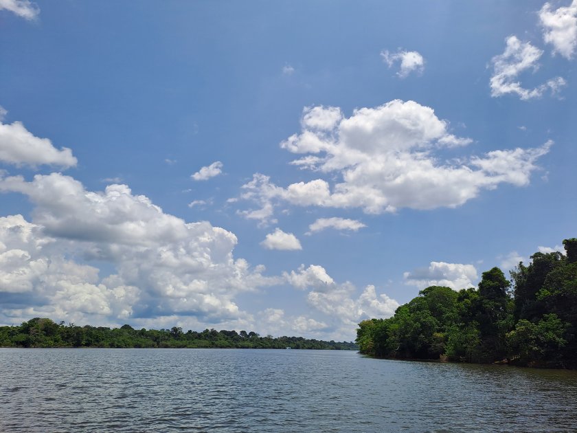 Clouds form and are influenced by the rainforest and the presence of the Uatumã River. Clouds form and are influenced by the rainforest and the presence of the Uatumã River.