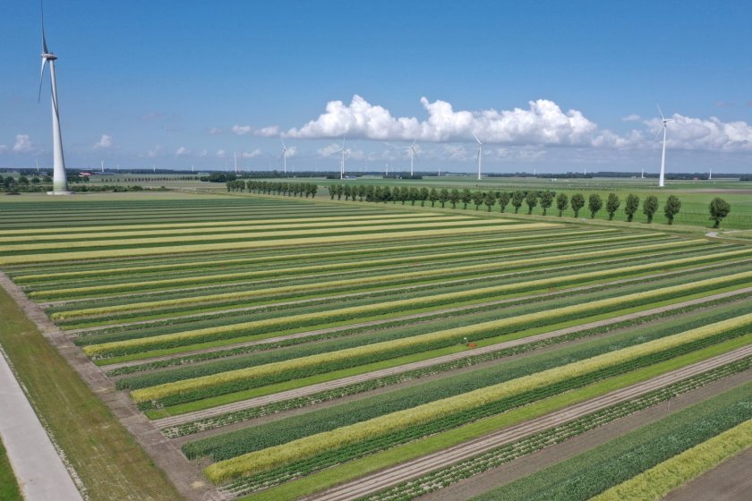 Farm of the Future in Lelystad. Photo credits: OANEvents Farm of the Future in Lelystad. Photo credits: OANEvents
