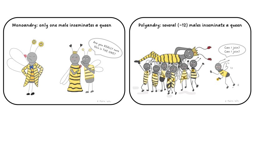 figure 1.jpg figure 1.jpg