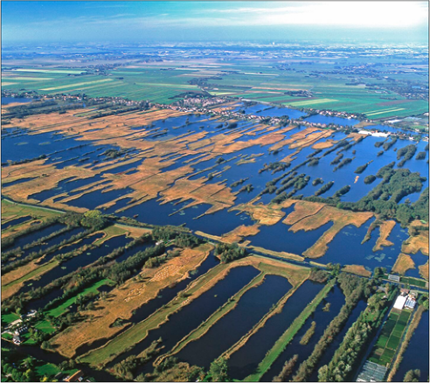 Petgaten in laagveenlandschap. Foto: Paul Paris