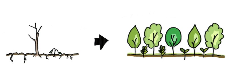 case study II_Ecosystem restoration_enlarged.jpg case study II_Ecosystem restoration_enlarged.jpg