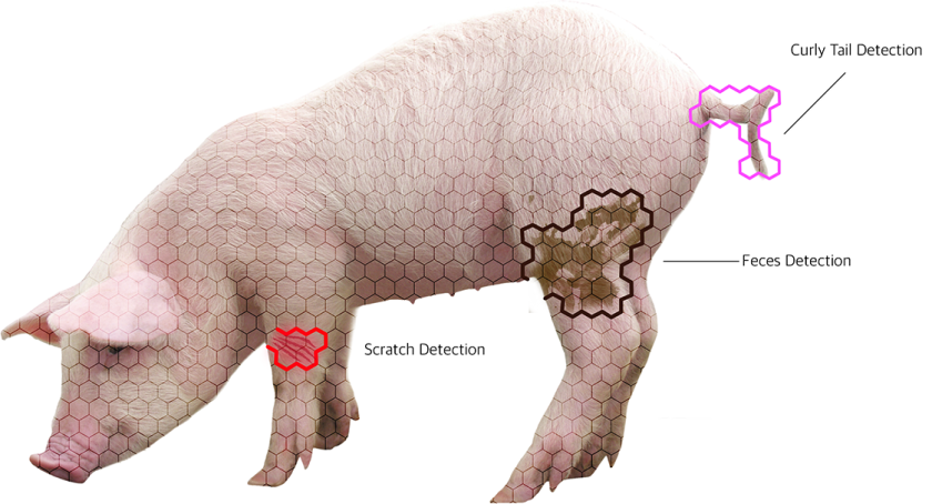20180123 pig_resilience.png 20180123 pig_resilience.png