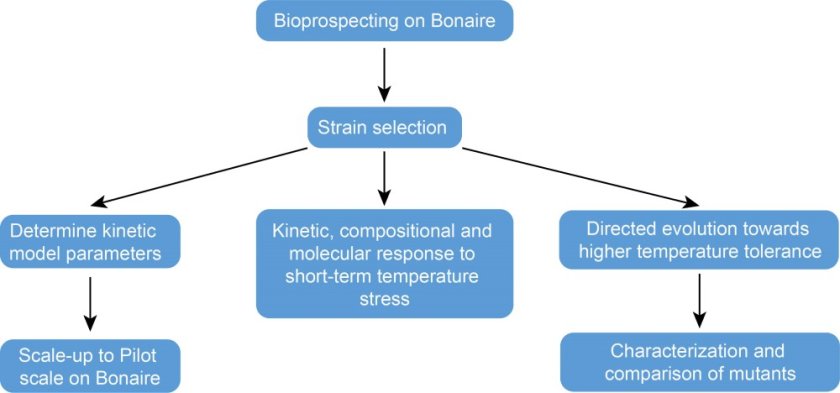 Schematic Schematic