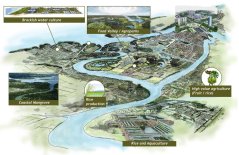 Illustration of the Mekong Delta Plan Illustration of the Mekong Delta Plan